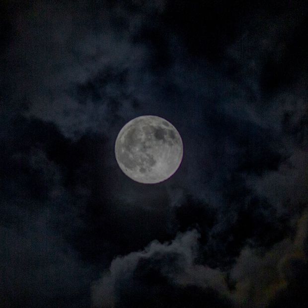 Luna del Cazador 2026: Cuándo y Cómo ver la Luna Llena de Octubre en México
